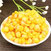 Canned Sweet Corn Kernels